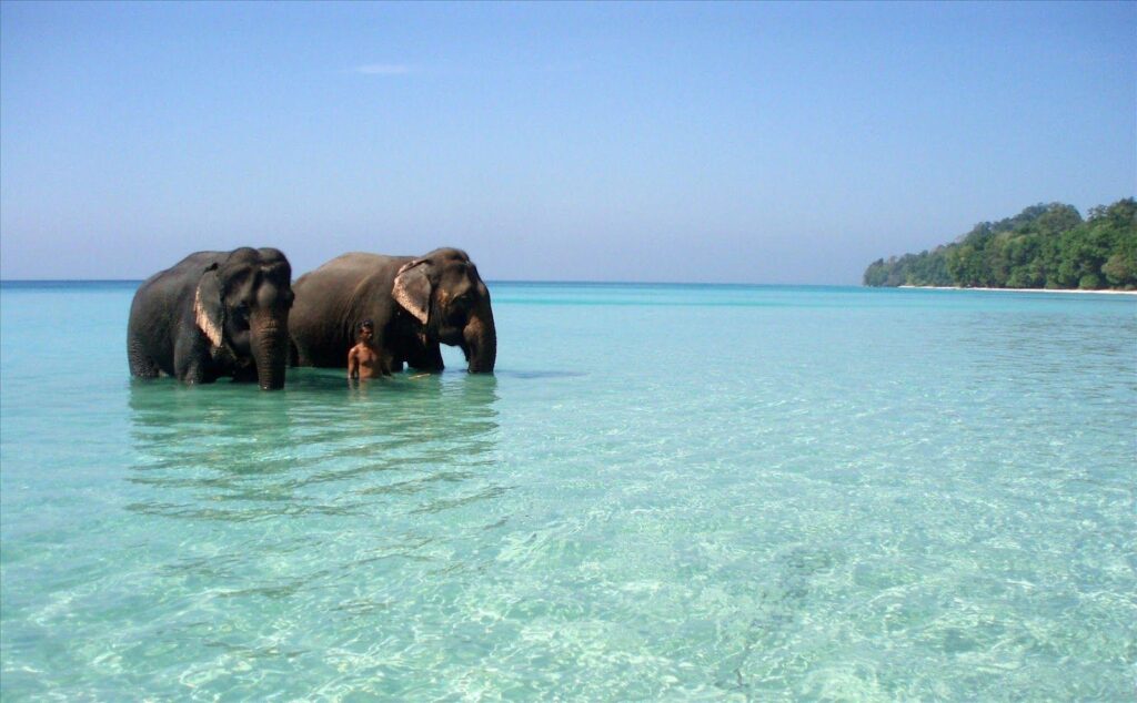 Elephanta Beach Havlock