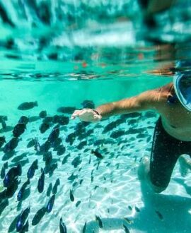 Snorkeling