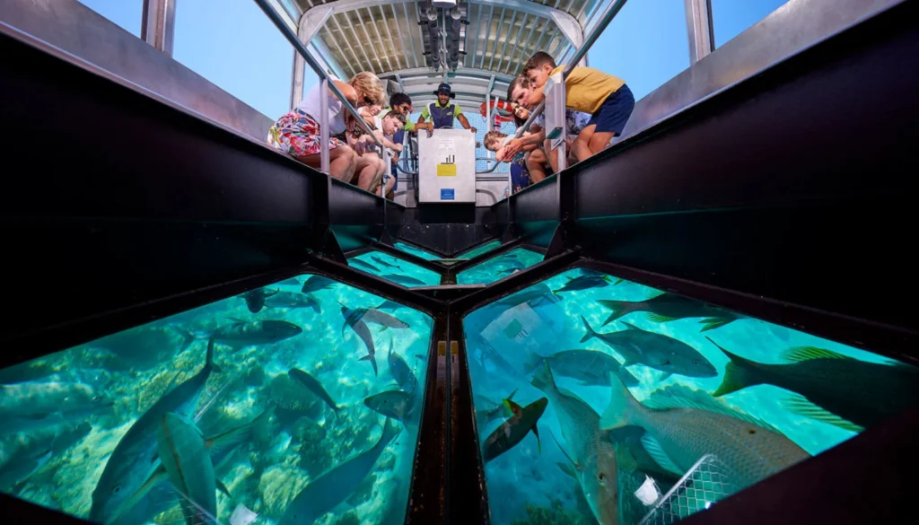 Glass Bottom Boat